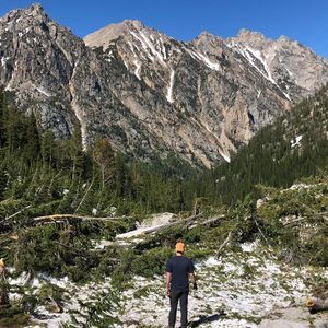 Meet your Posher, Thomas